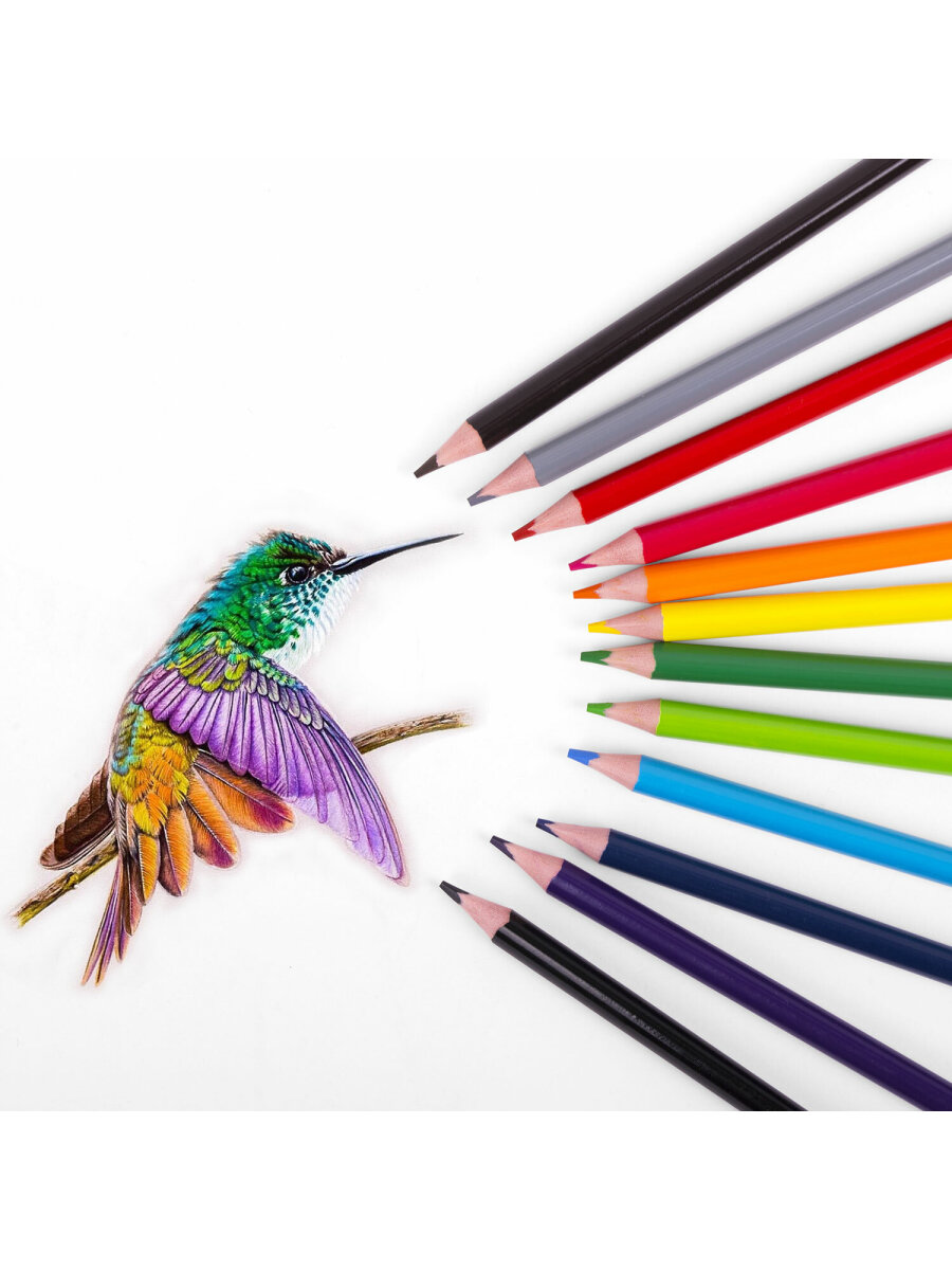 Карандаши цветные Brauberg 12 шт. - фото 12