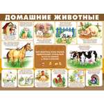 Плакат Империя поздравлений Домашние животные А2