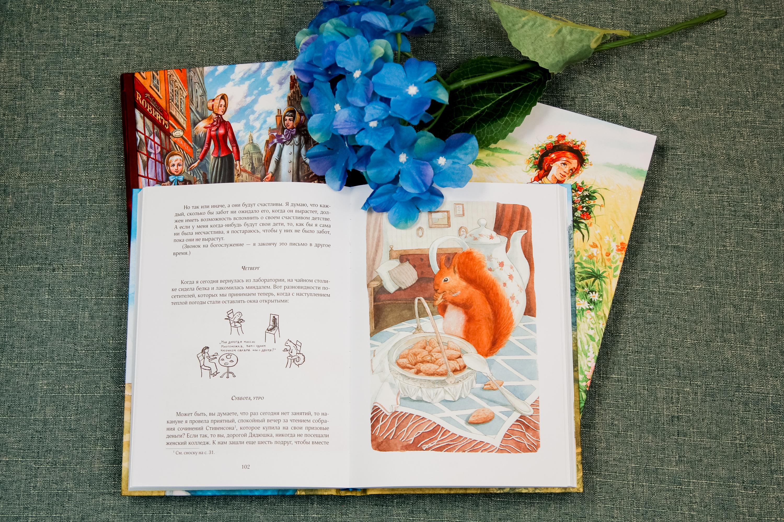 Книга Качели Длинноногий дядюшка - фото 6