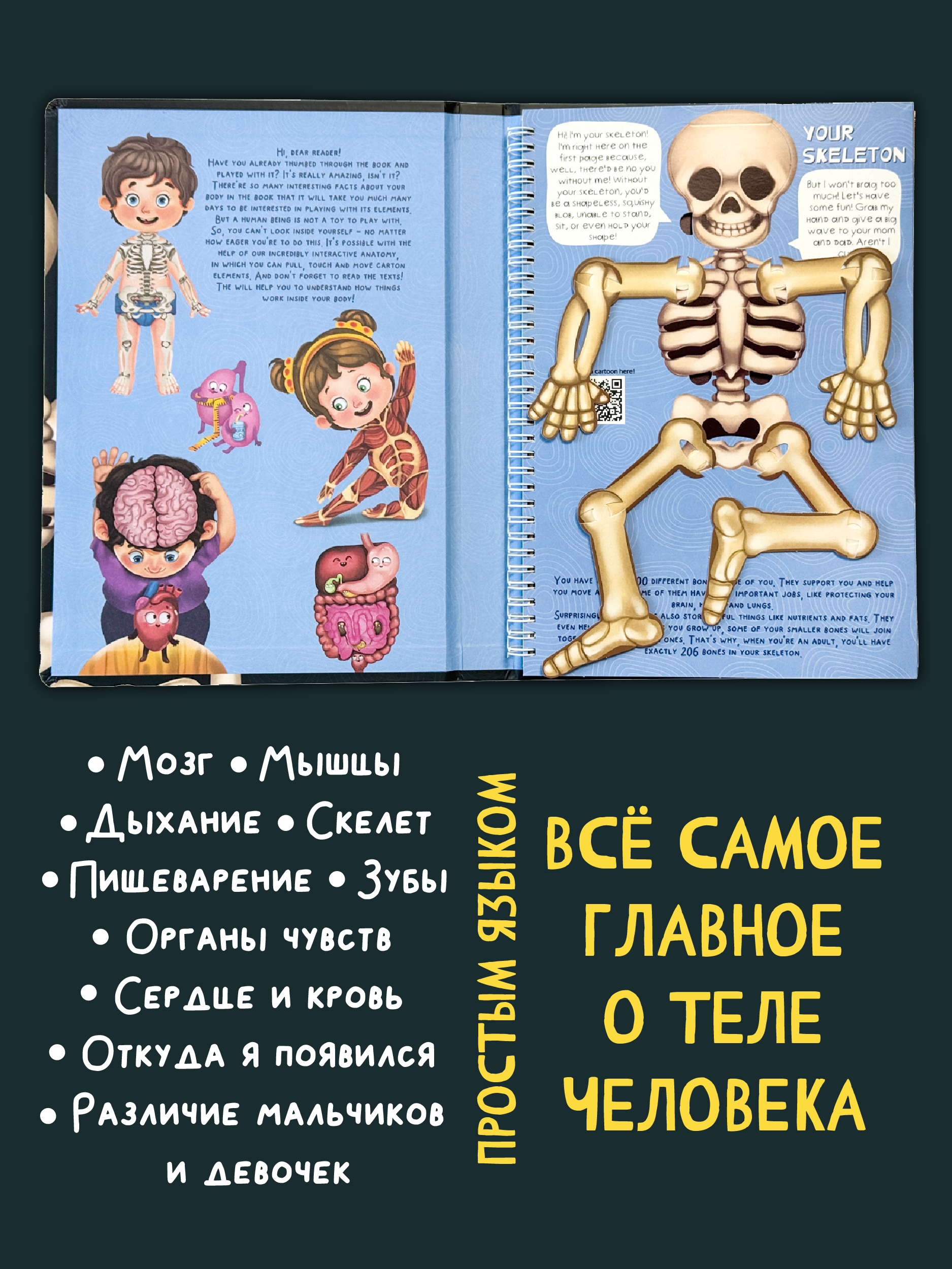 Интерактивная энциклопедия на английском БимБиМон Знакомься твое тело - фото 2