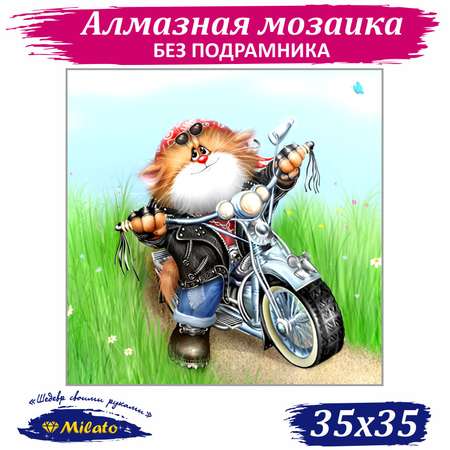 Алмазная мозаика Милато Котоциклист