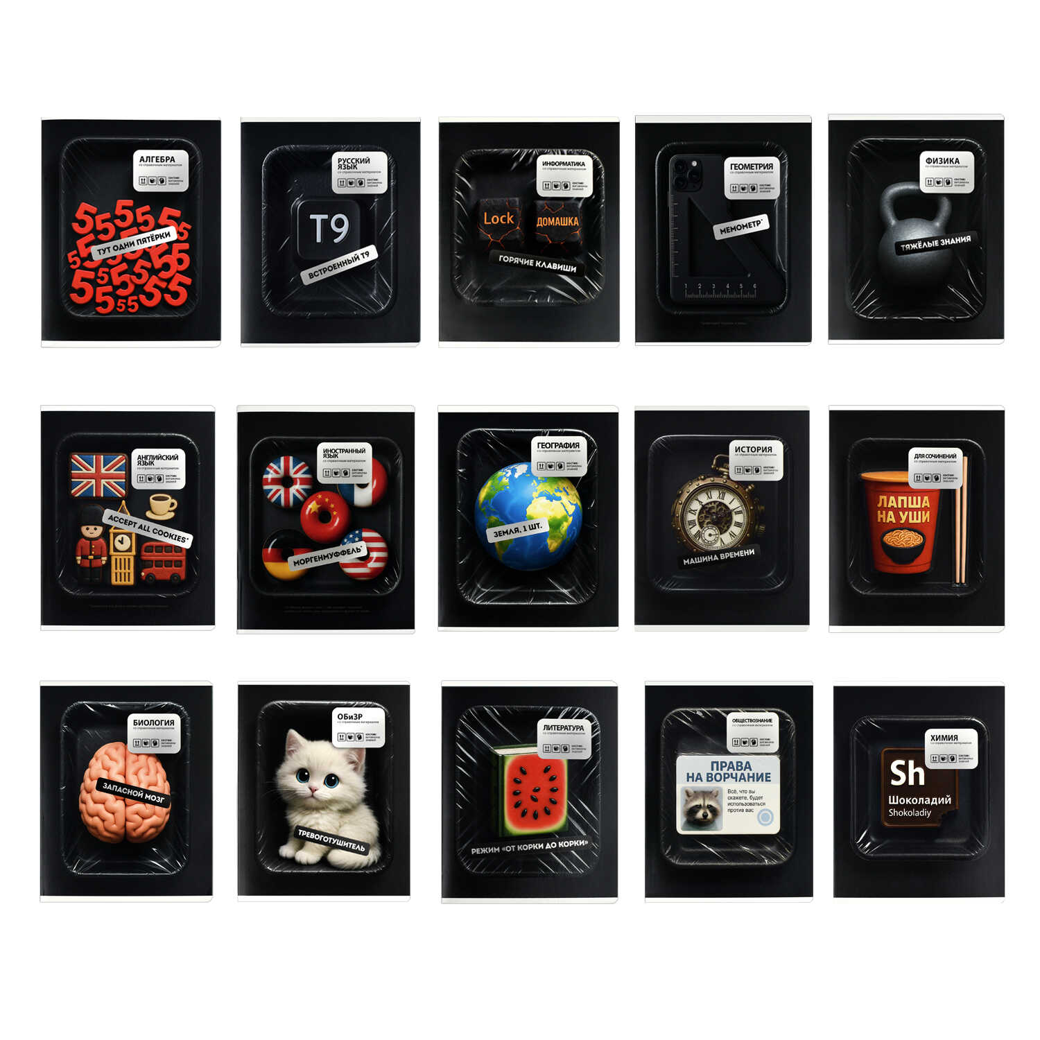 Тетрадь Феникс + 48 лист. 15 шт. (Литература, Русский язык, Обществознание) - фото 1