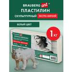 Пластилин Brauberg белый 1 цв.
