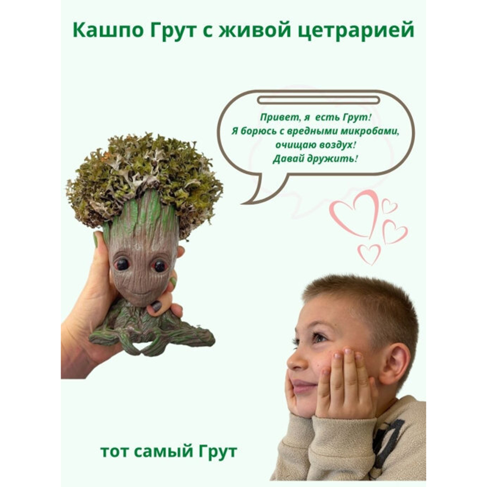 Грут с прической из цетрарии Cetraria 19 см - фото 9