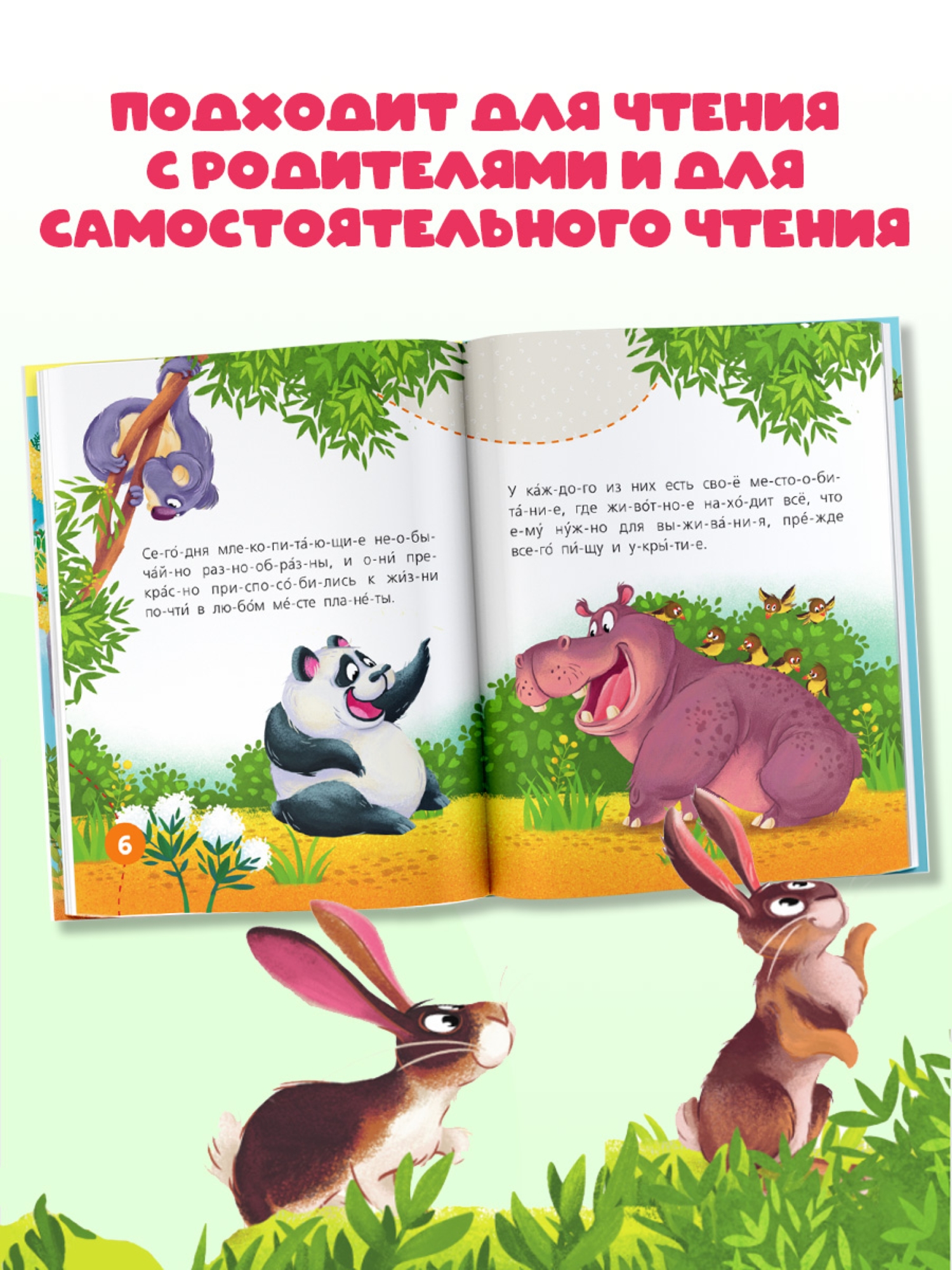 Книга АСТ Первые книжки Животные - фото 2