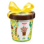 Набор для выращивания Happy Plant