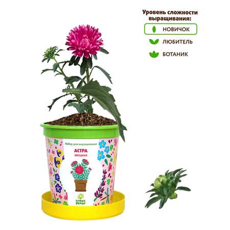 Набор для выращивания Happy Plant