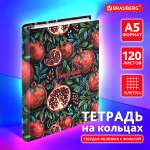 Тетрадь Brauberg клетка