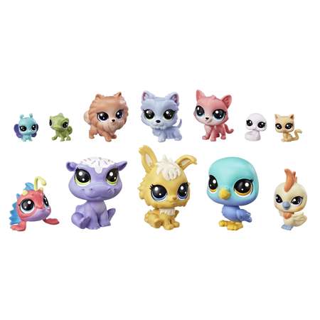Игровой набор Littlest Pet Shop в ассортименте