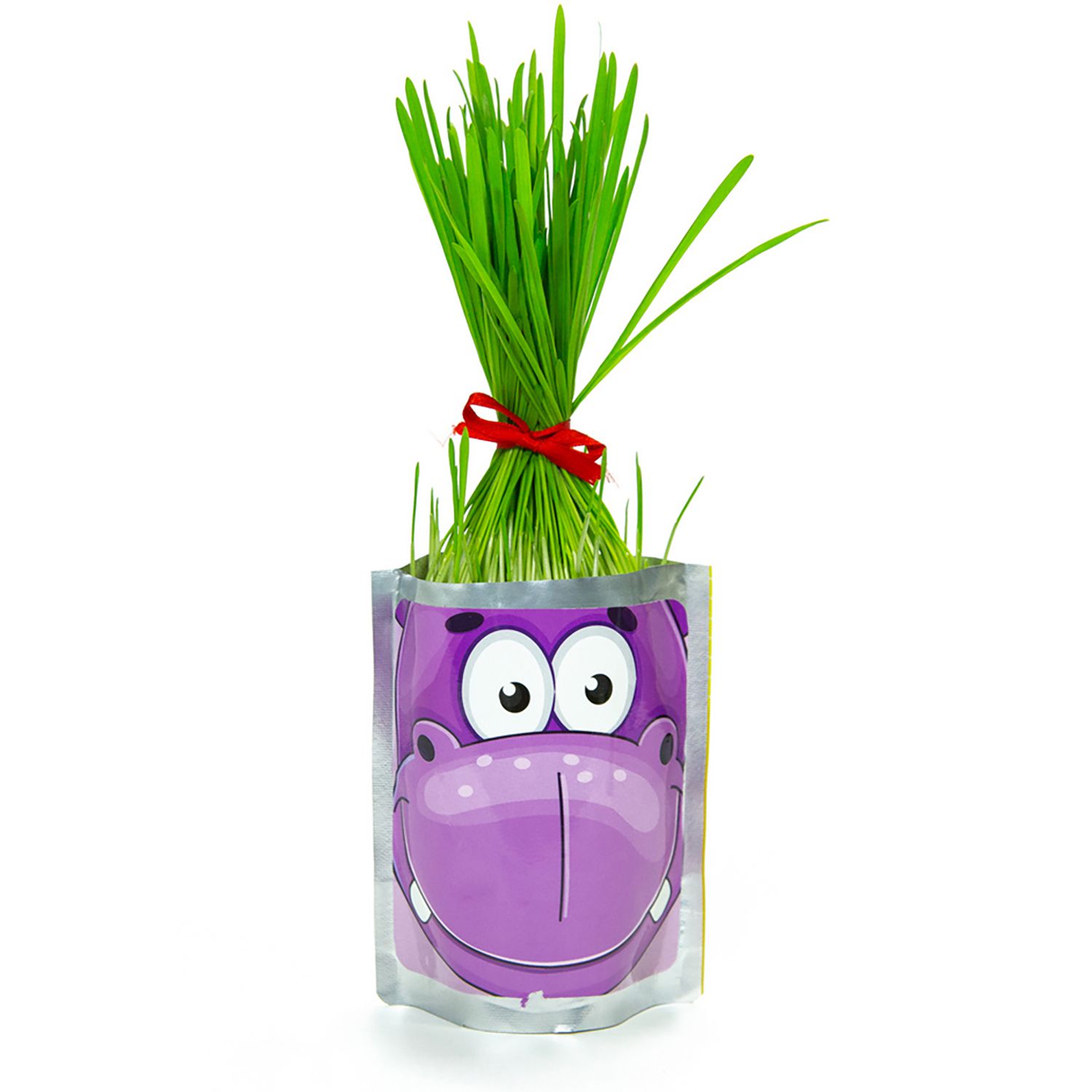 Набор для выращивания Happy Plant - фото 1