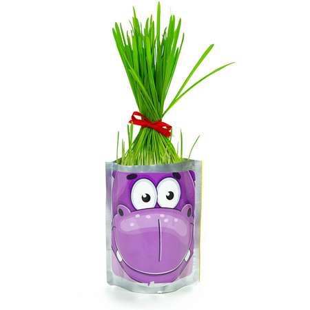 Набор для выращивания Happy Plant