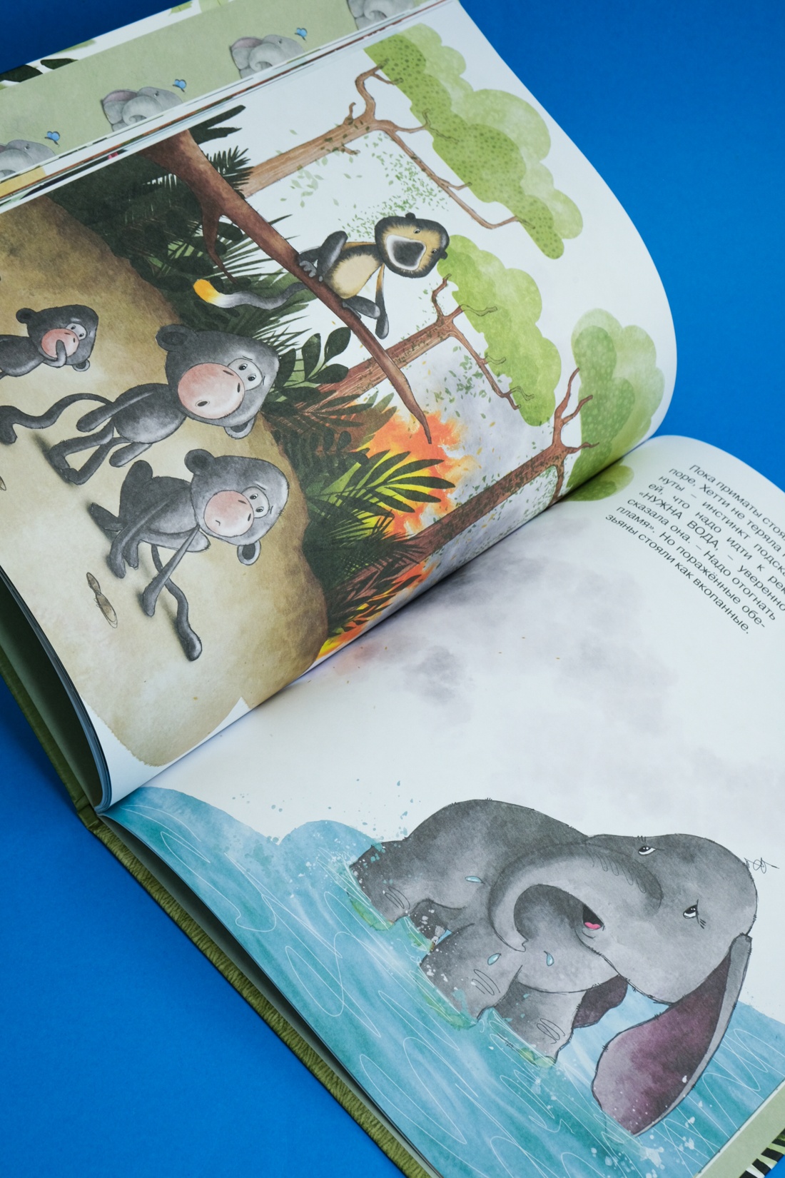 Книга Махаон Пекхэм Х. Робкий слонёнок. Быть как все? (Сказки для развития эмоц. интеллекта) - фото 5