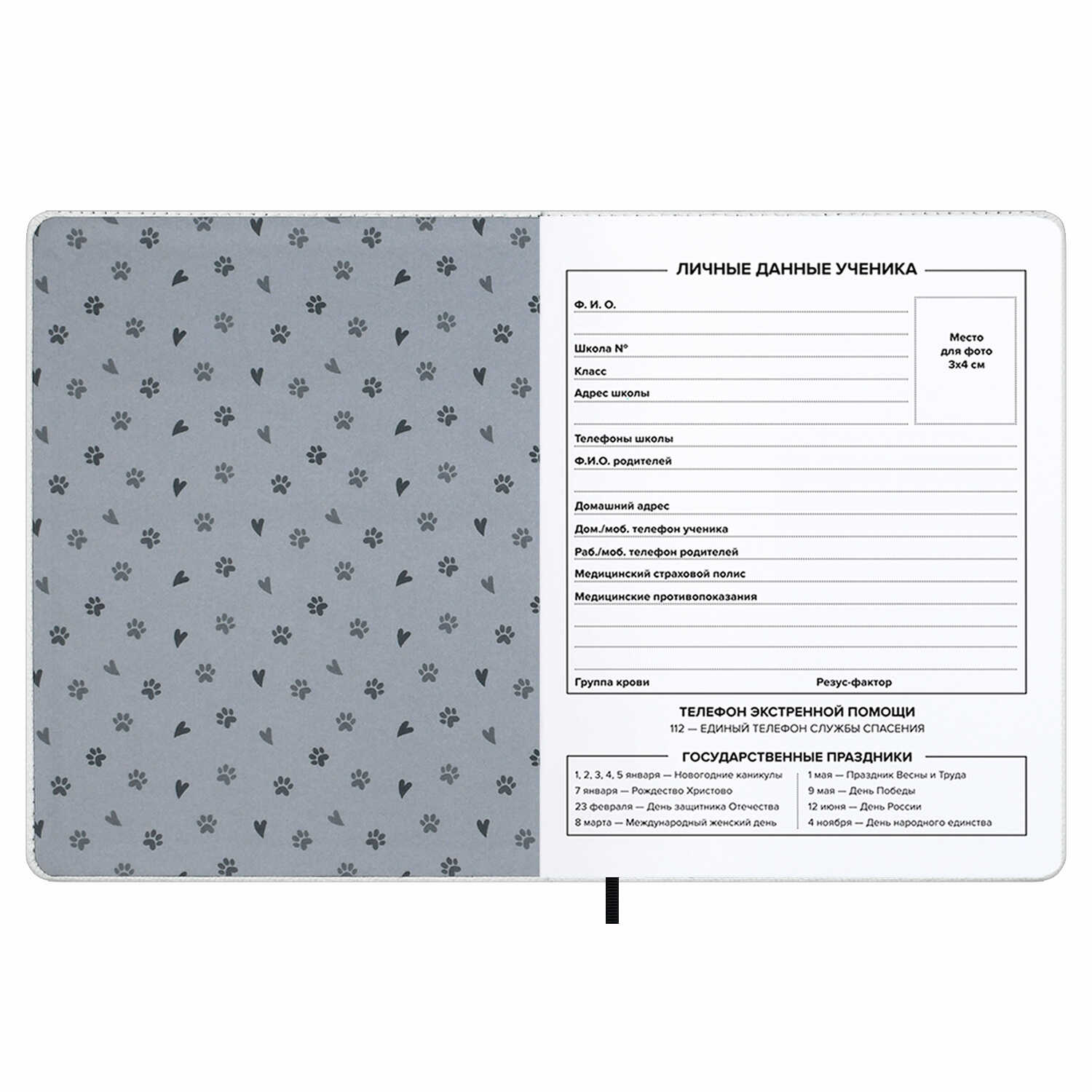 Дневник школьный Феникс + Черный кот - фото 9