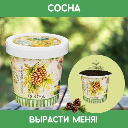 Набор для выращивания Rostok Visa