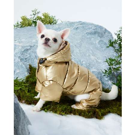 Комбинезон для собак и кошек Зоозавр