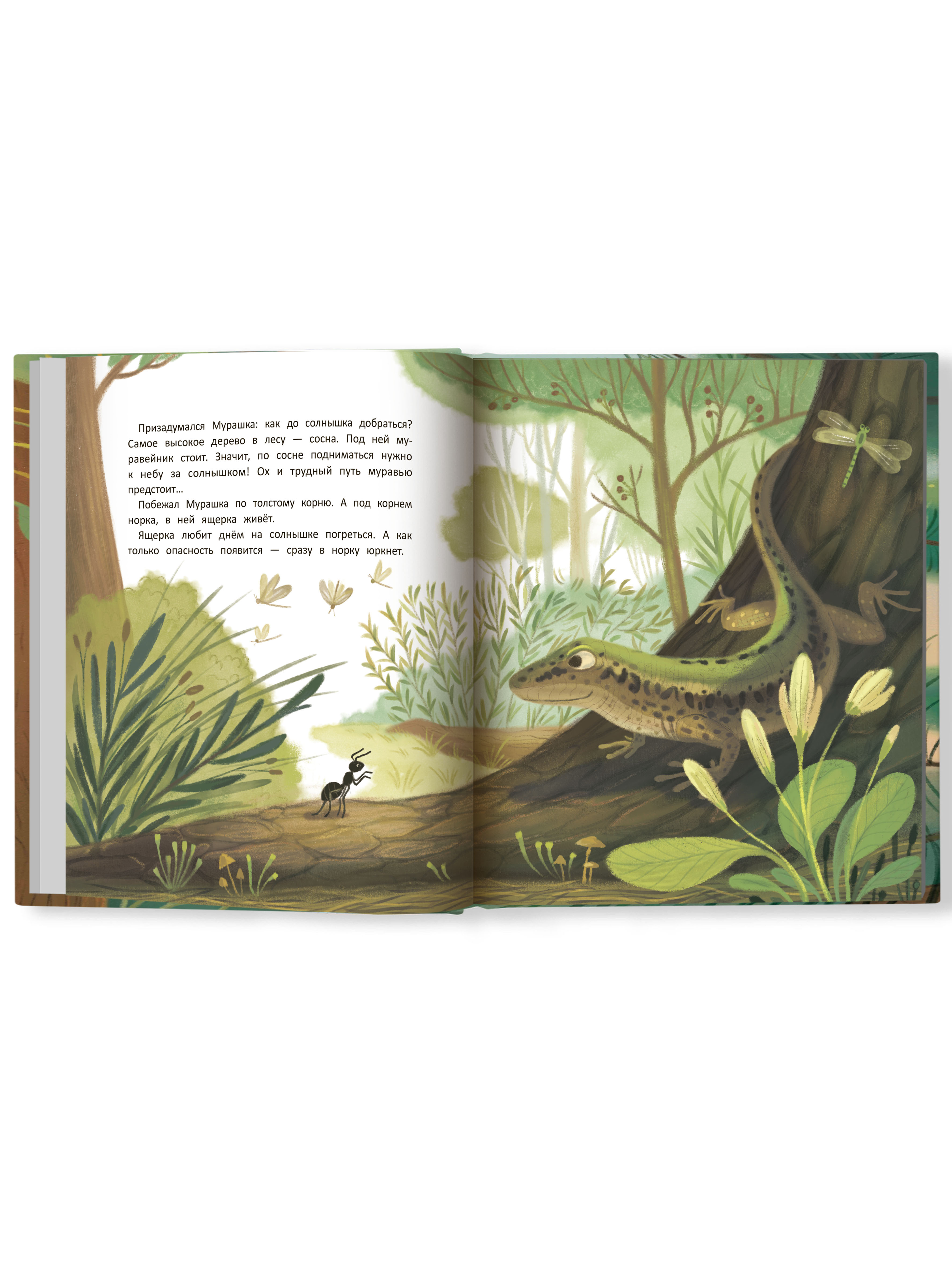 Книга Феникс Премьер Как муравей за солнышком ходил. Добрая сказка - фото 10