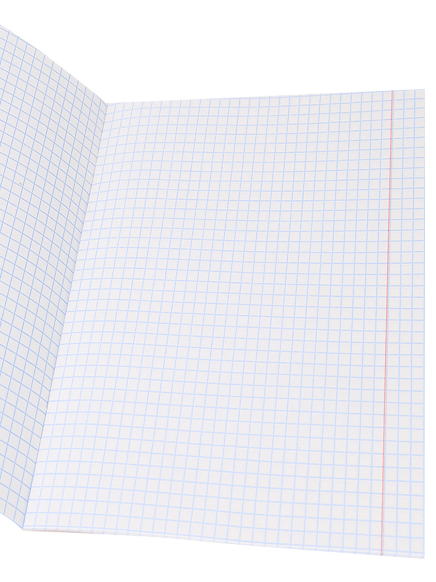 Тетрадь Prof-Press клетка 12 лист. 10 шт. - фото 6