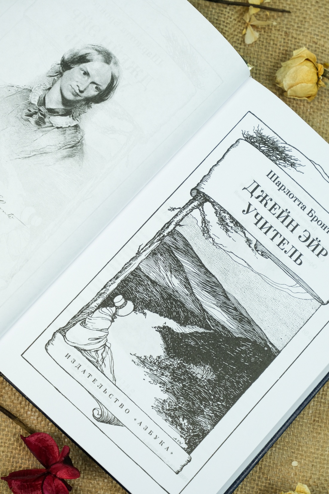 Книга АЗБУКА ИЛБК. Бронте Ш. Джейн Эйр. Учитель (с илл.) - фото 15