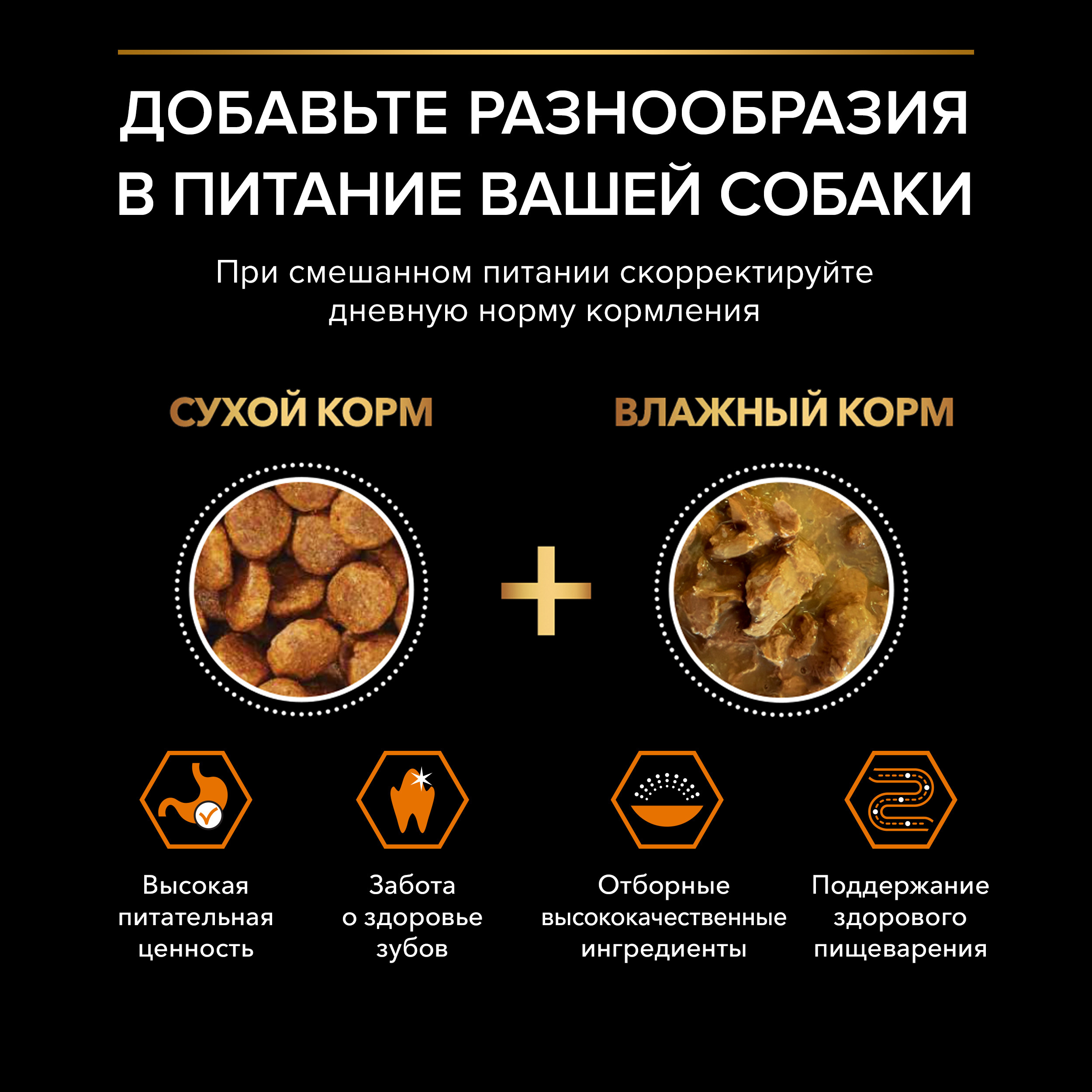 Корм сухой для собак PRO PLAN EVERYDAY NUTRITION 3 кг с курицей для мелких и карликовых пород - фото 6