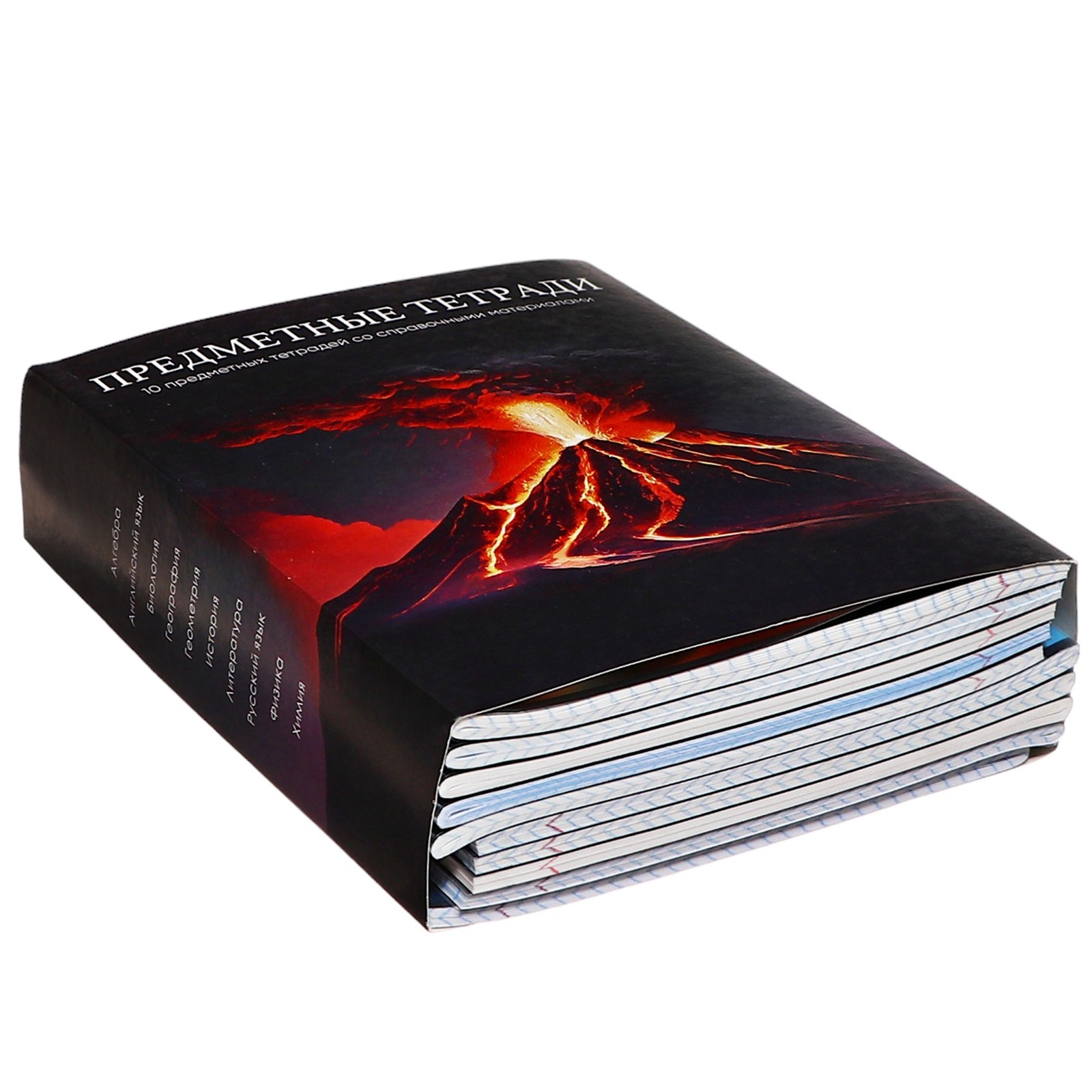 Тетрадь Calligrata - фото 3