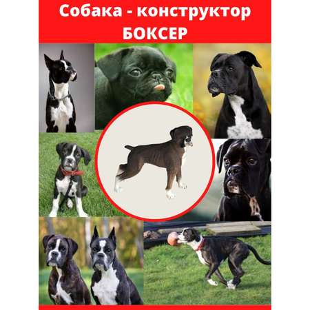 Пазл EstaBella 3D