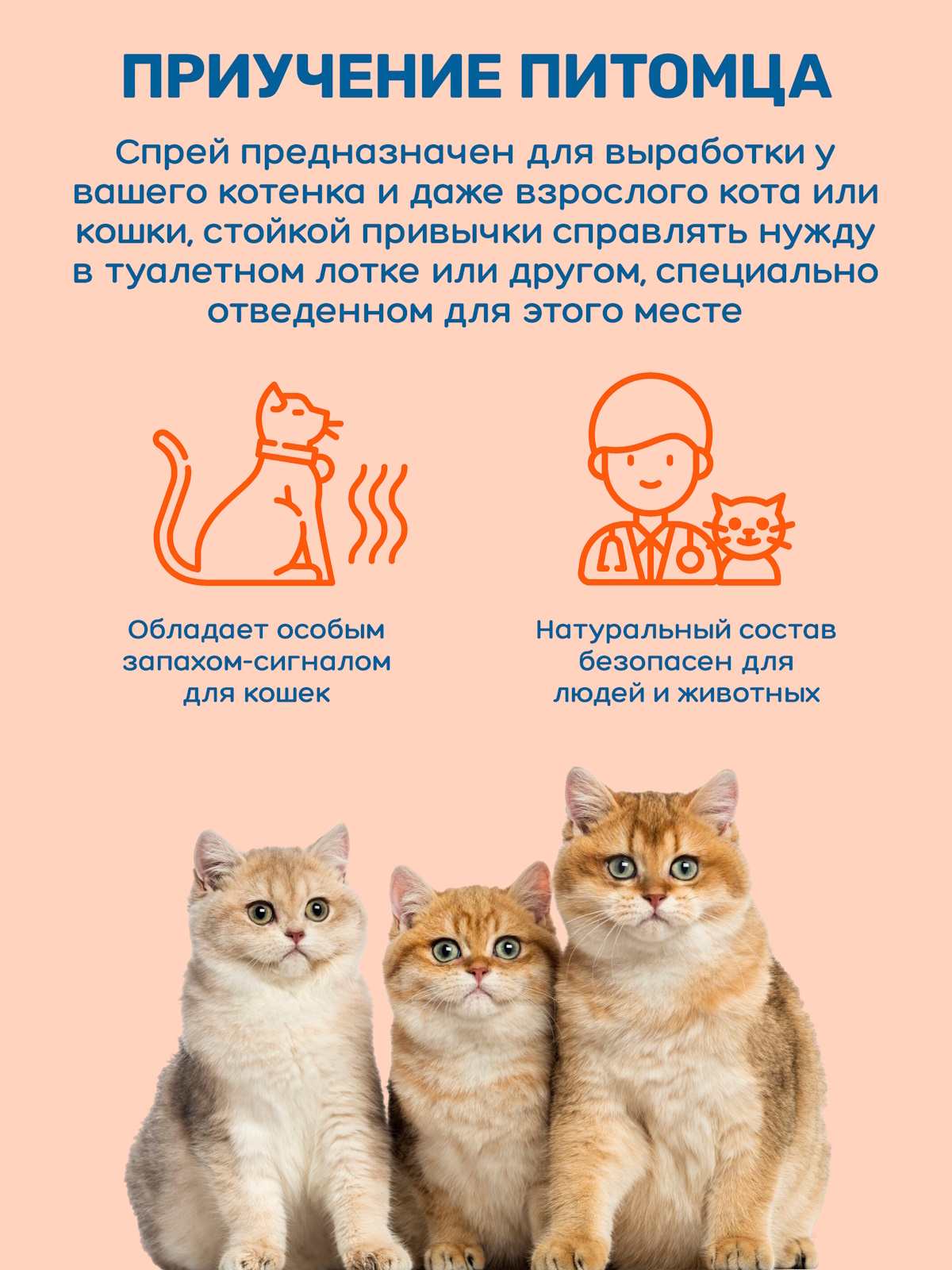 Спрей для кошек ZOORIK приучение к туалету 250 мл - фото 2