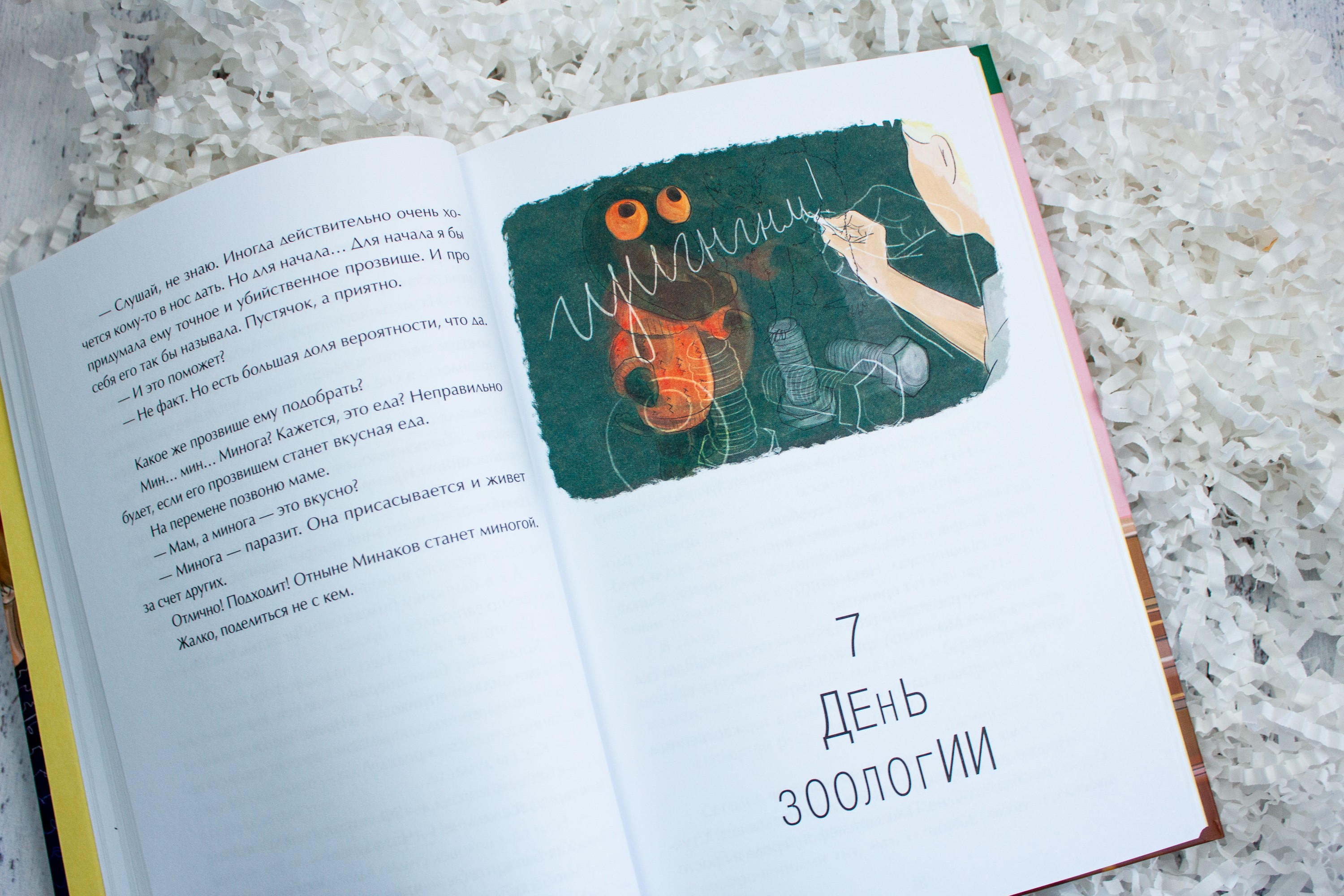 Книга Пять четвертей Виолетта Фиолетовна - фото 4