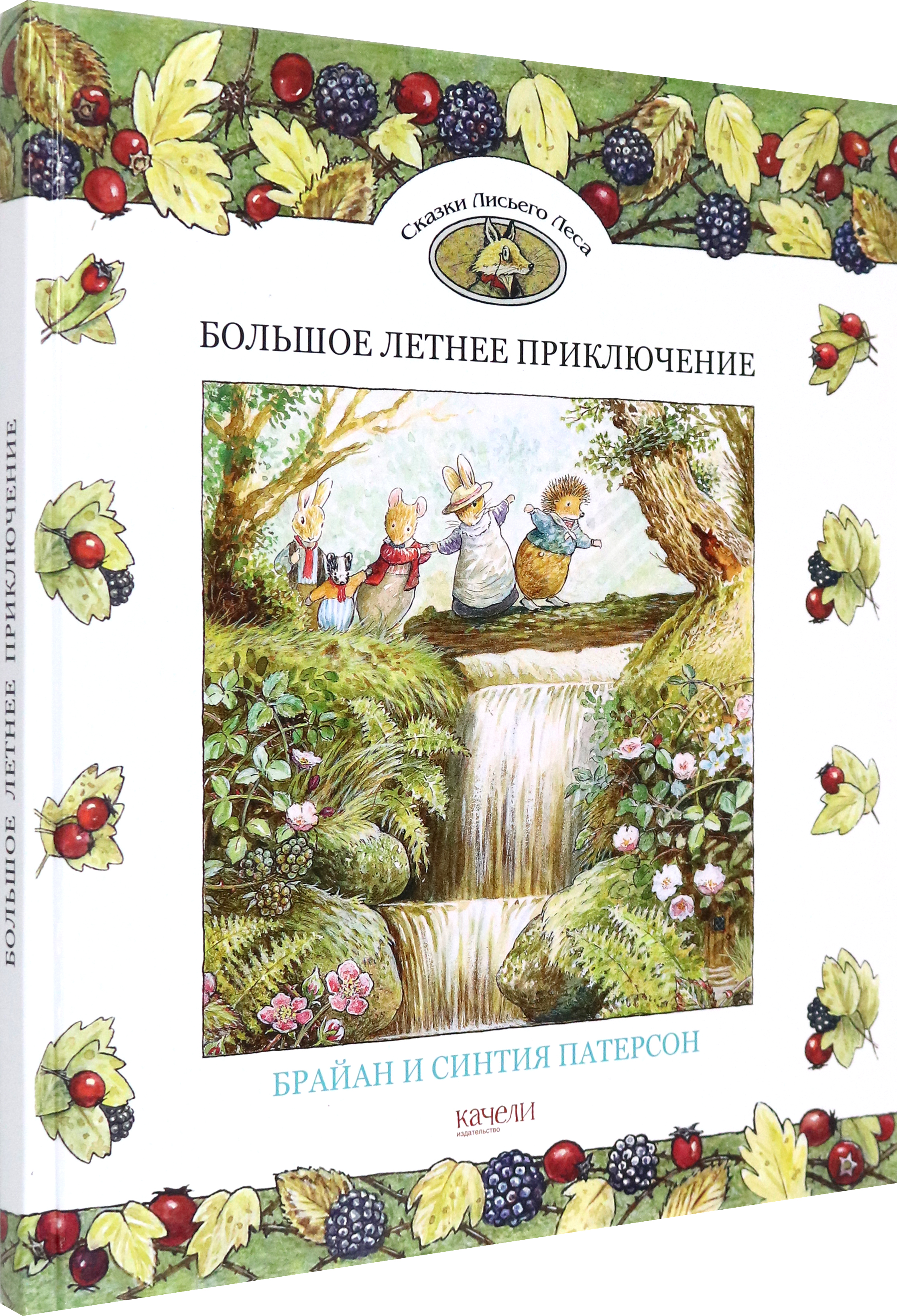 Книга Стрекозa Большое летнее приключение - фото 2