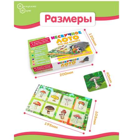 Настольная игра Нескучные игры Детское Лото Что где растет