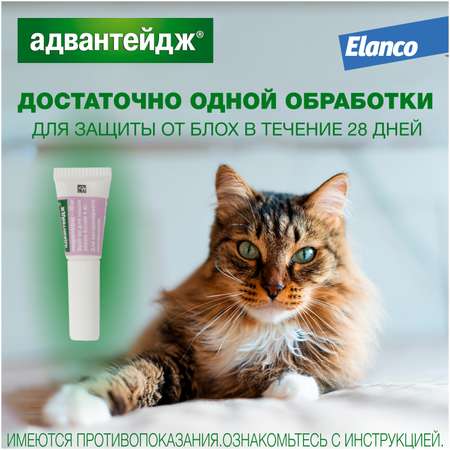 Препарат инсектоакарицидный для кошек Elanco Адвантейдж 0.8мл 4пипетки