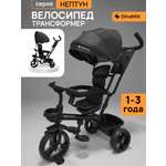 Трехколесный велосипед DinaMiX 10 дюймов