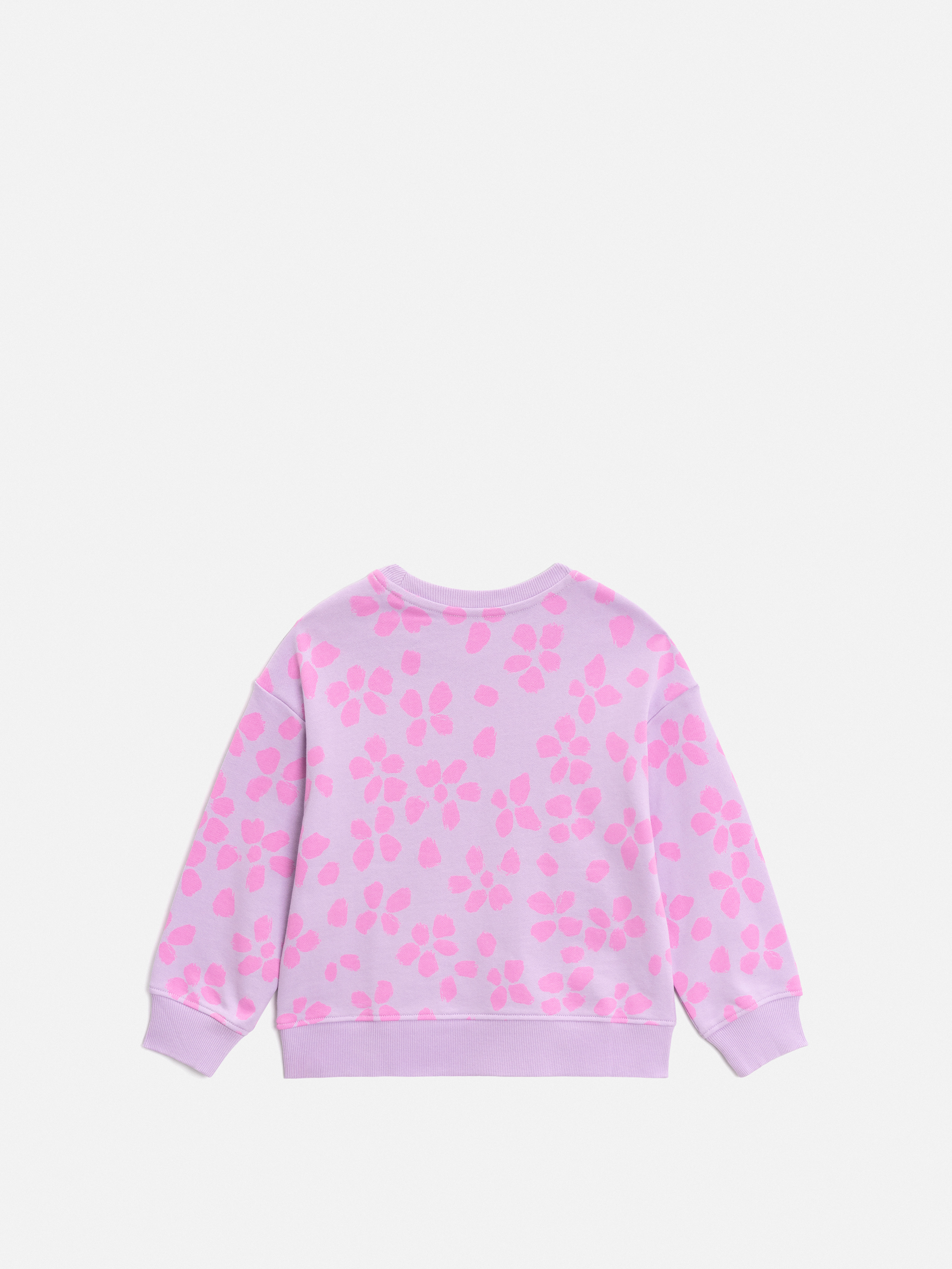 Свитшот Acoola 20220170173_0095461 - фото 4