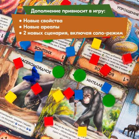 Настольная игра Правильные Игры