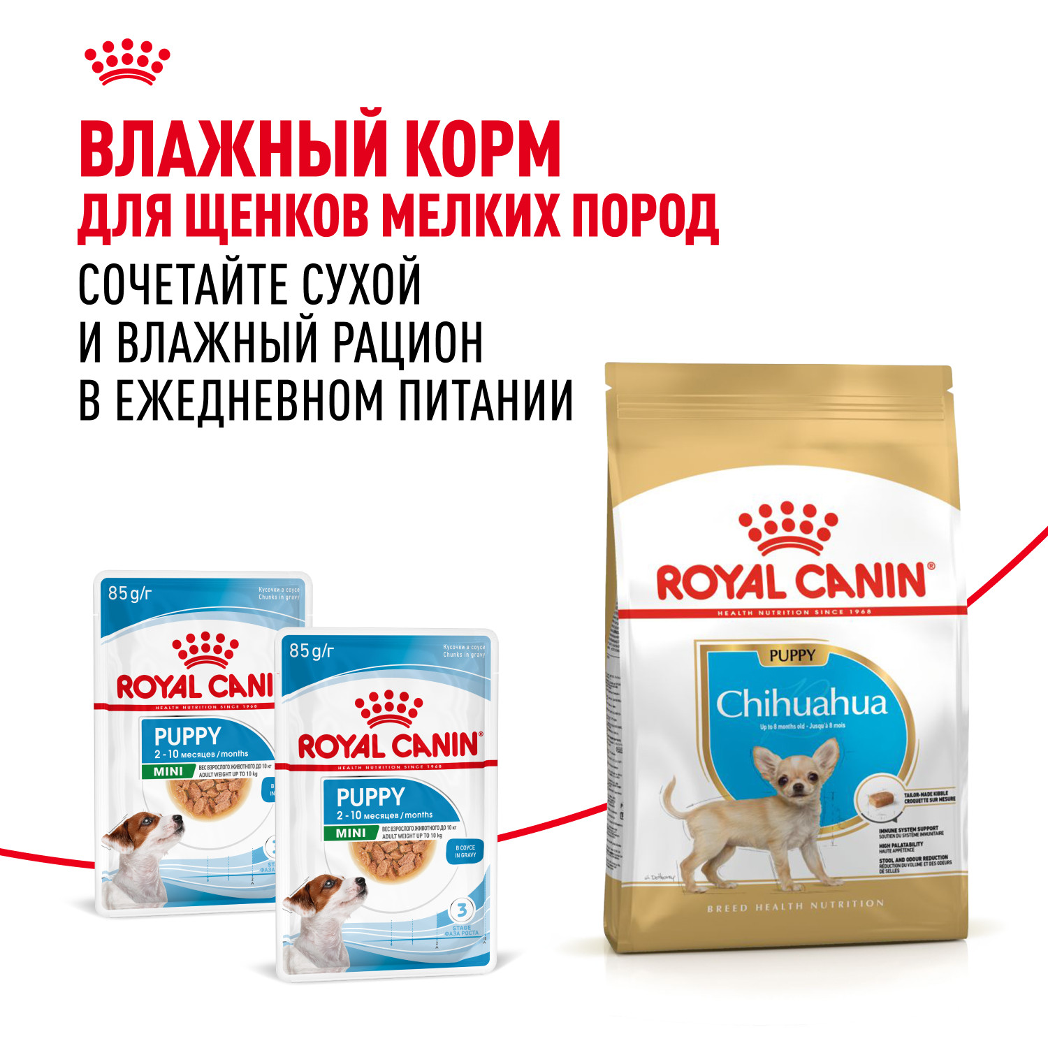 Корм для щенков ROYAL CANIN породы чихуахуа 500г - фото 8