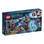 Конструктор LEGO Harry Potter 121 дет.