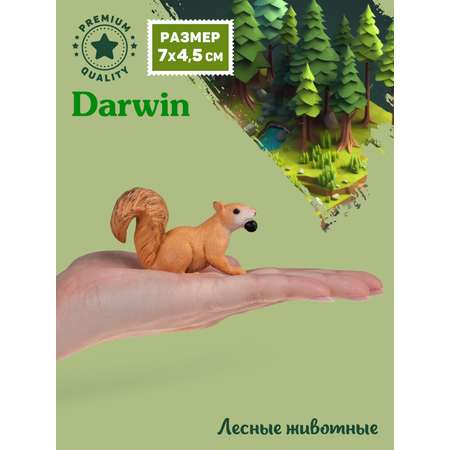 Фигурка DARWIN Животные Белка
