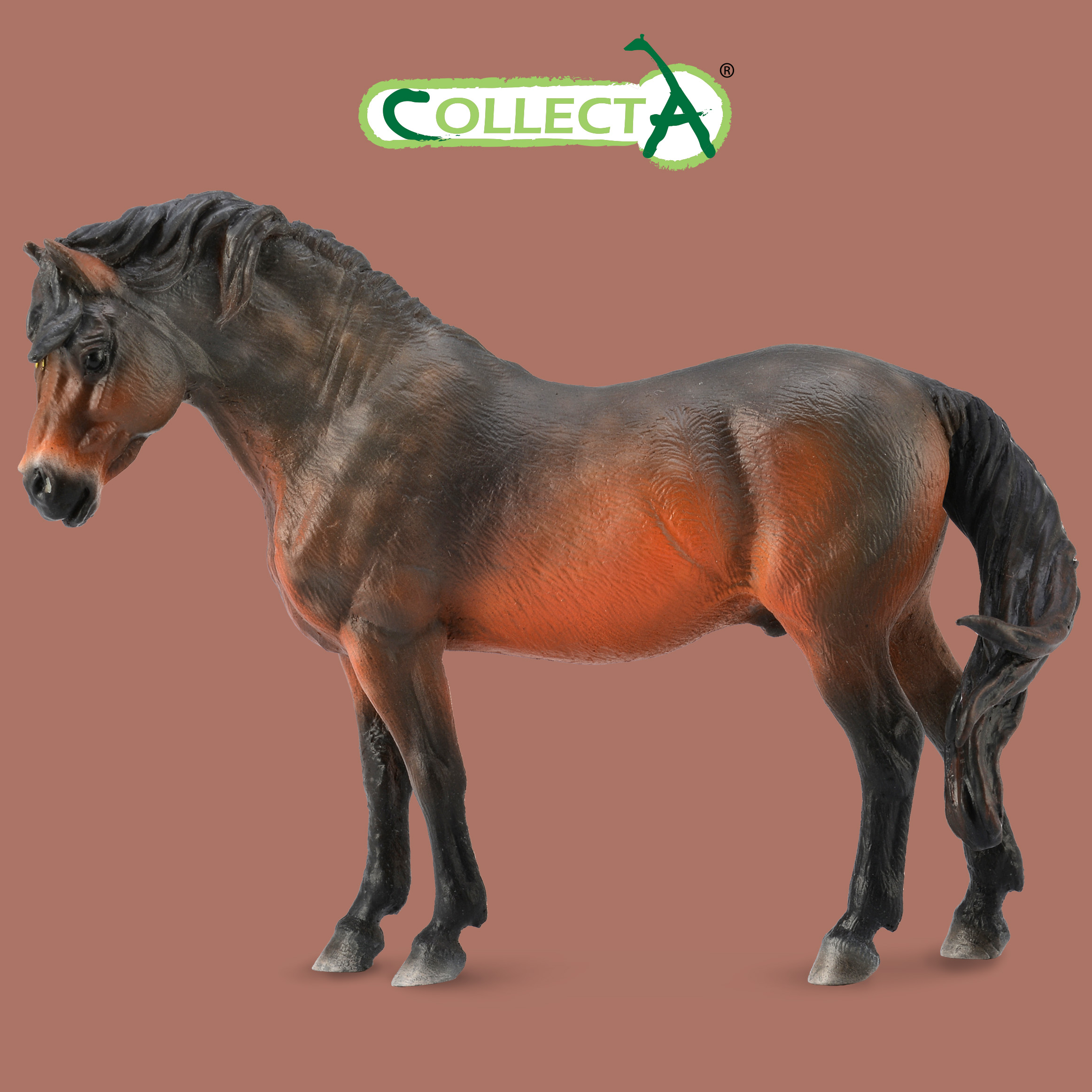 Фигурка Collecta Дартмурский Пони - фото 1