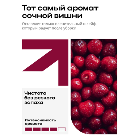 Средство Zetter моющее для чистки сантехники 500 мл
