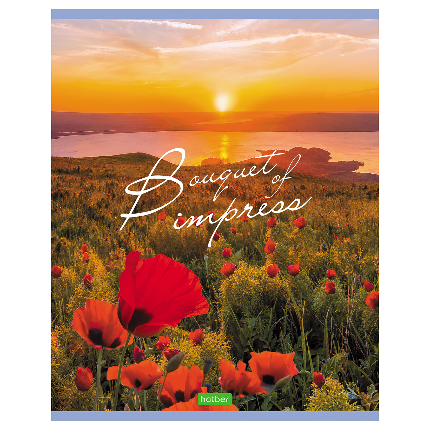 Общая тетрадь Hatber клетка 48 лист. в ассортименте - фото 5