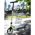 Самокат CITYRIDE двухколесный