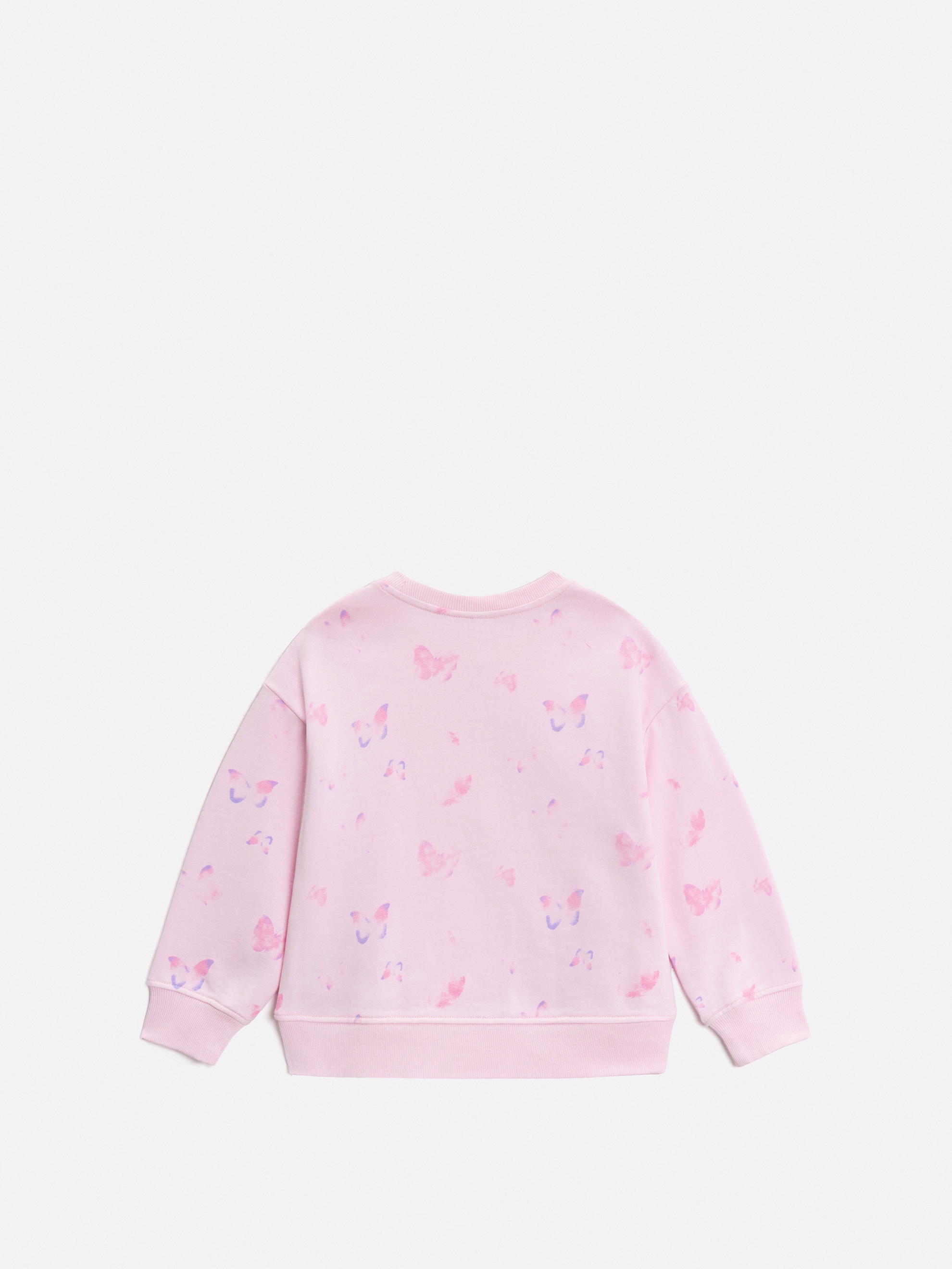 Свитшот Acoola 20220170173_0095462 - фото 4