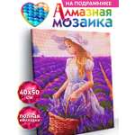 Алмазная мозаика KIKI Ароматы Прованса