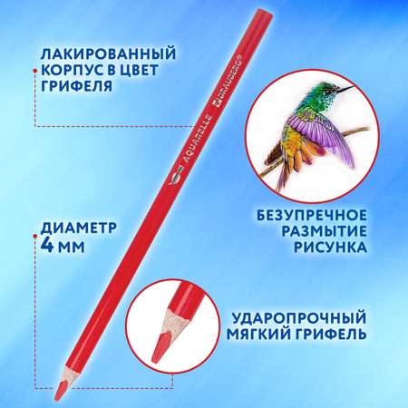Карандаши акварельные Brauberg 36 шт.