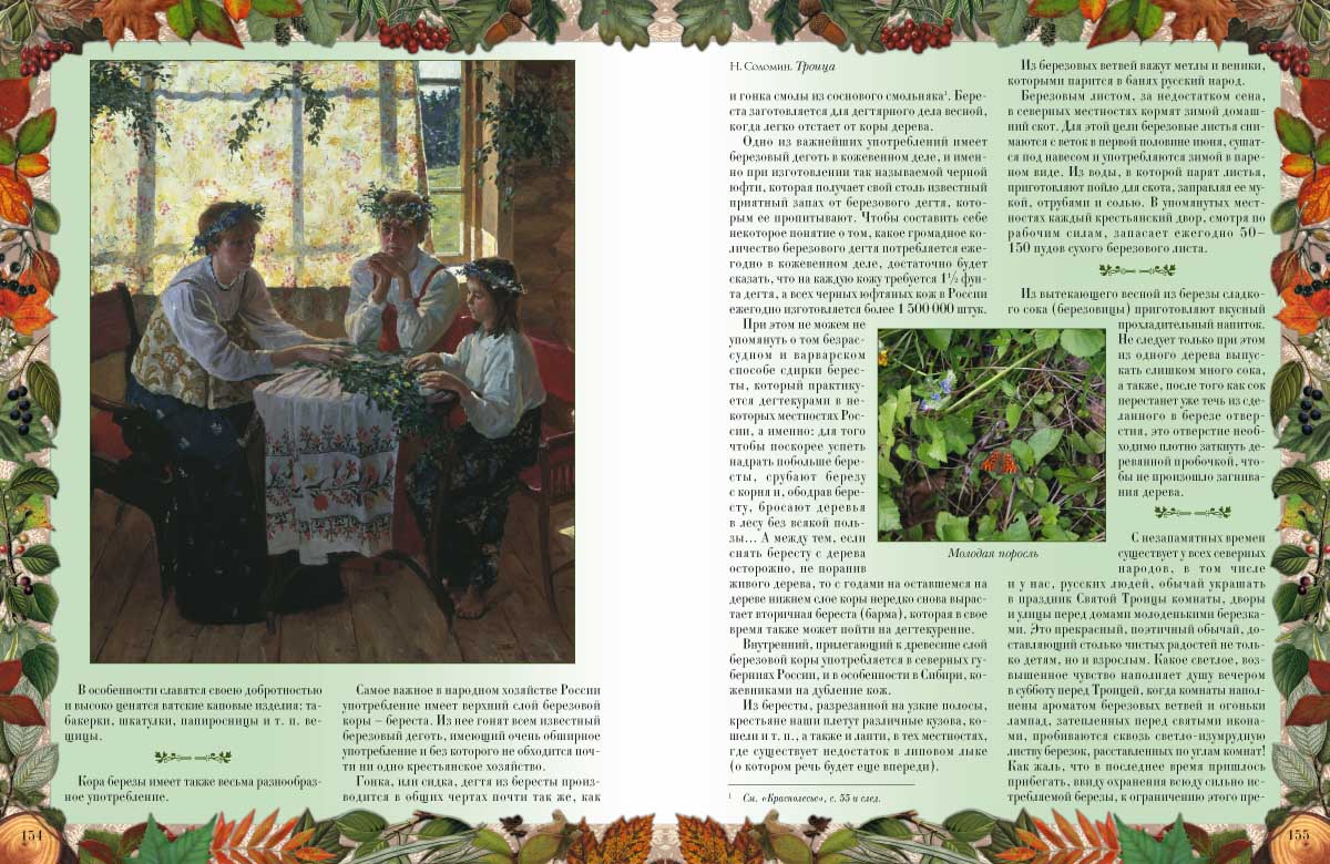 Книга Белый город Беседы о русском лесе - фото 6