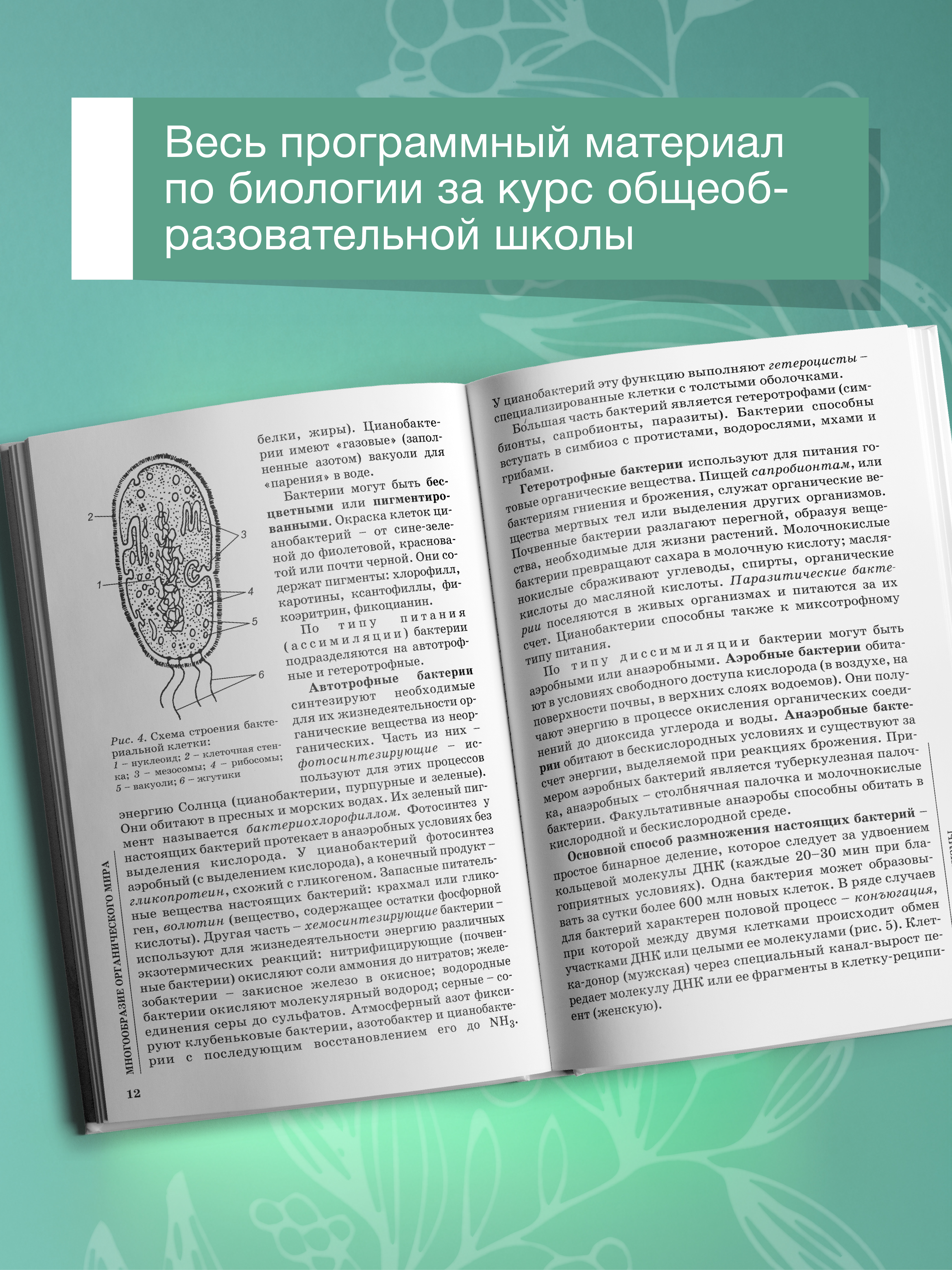 Биология для поступающих в вузы Феникс Книга - фото 4