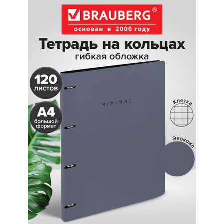 Тетрадь со сменным блоком Brauberg клетка 120 лист.