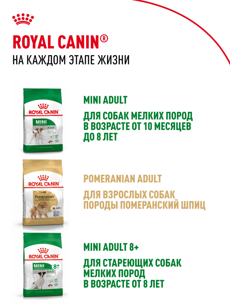 Корм для собак ROYAL CANIN малых пород живущих преимущественно в домашних условиях 500г - фото 10