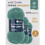 Пряжа для вязания Astra Premium Эвридика 100 г 200 м 3 шт