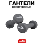 Гантели Summus серые