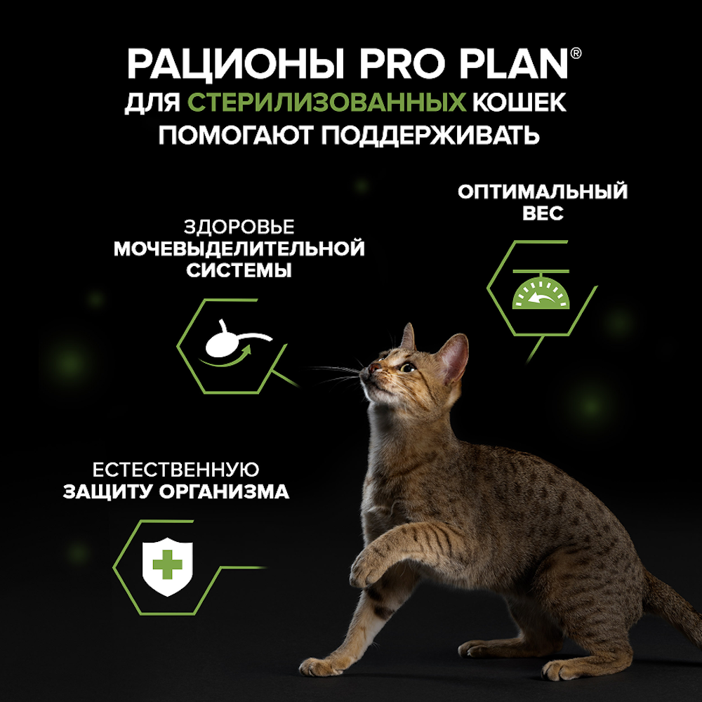 Корм влажный для кошек PRO PLAN MAINTENANCE 75г паштет с говядиной для стерилизованных - фото 6